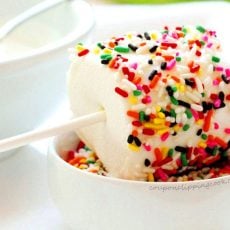 Marshmallow Fun Pops