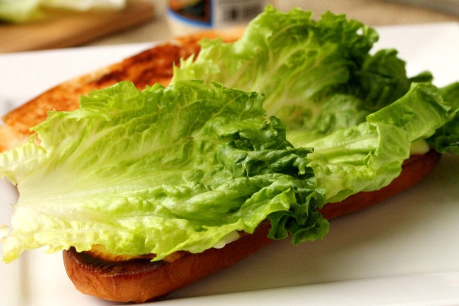 Turkey Cobb Salad Sandwich Coupon Clipping Cook