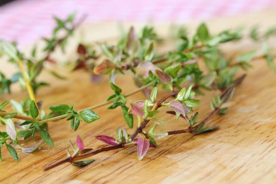 Salt Crusted Baked Potato with Thyme Ground Beef and Gravy Coupon