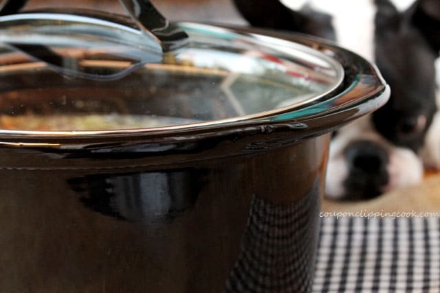 Crockpot with lid by dog